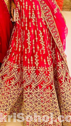 Gorgeous lehenga